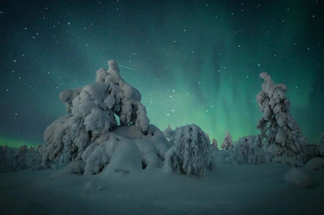 Northern lights over snow-covered trees near Levi, Finland, Lapland